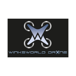 Winksworld drone